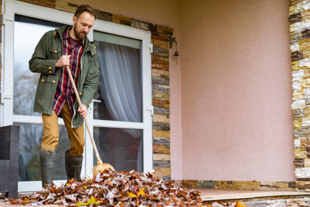 Yard Cleanup Services in Hollywood Park, TX